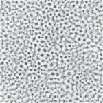 Reas_P07-A