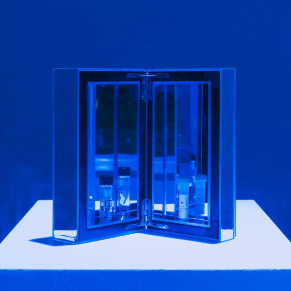 _FJW6727-hershman Lynn Hershman Leeson, Lynn Hershman Leeson DNA and Antibody inside Room #8 from the Infinity Engine series. 2018. Photo: Franz Wamhof. Image courtesy the artist, Novartis Pharma AG, Twist Biology, Bridget Donahue Gallery, and Anglim Gilbert Gallery SF.