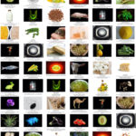++wallpaper_Antibodies and DNA and crispr -hershman