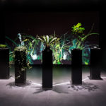 InteractivePlantGrowing-ZHI-20190927_112847