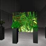 InteractivePlantGrowing3