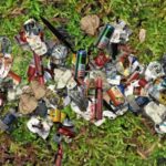 Scavengers©2020-LaurentMignonneauChristaSommerer_Screenshot-1