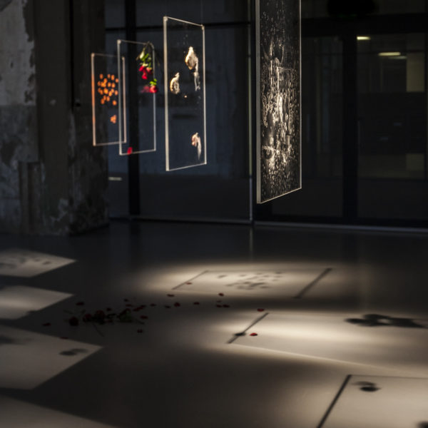 Addie Wagenknecht, Glass Ceiling: brb rage binging. Plexiglas, lipstick. 31.5 x 19.7 x .6 in / 80 x 50.8 x 1.5 cm. 2015.
Photo: Hanneke Wetzer