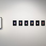ridler-Bloemenveiling_Install+Shot