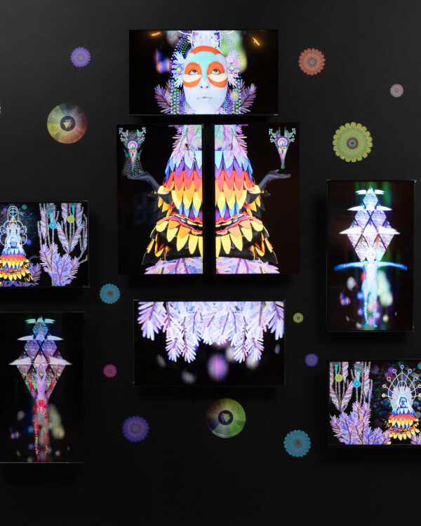 DIFFERENCE MACHINES: TECHNOLOGY AND IDENTITY IN CONTEMPORARY ART