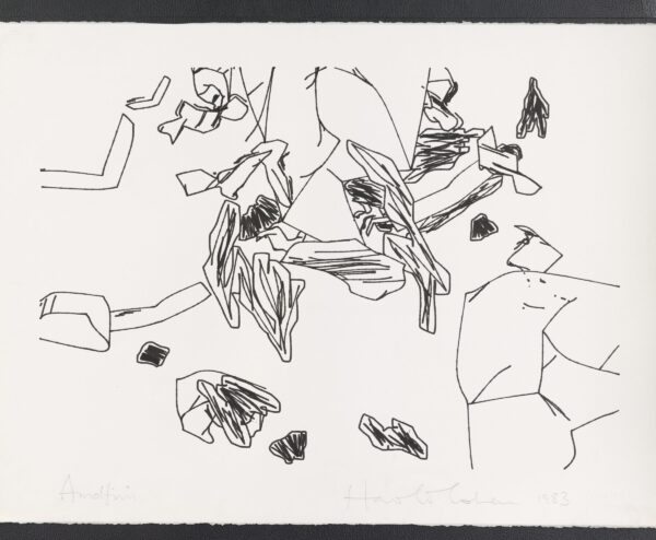 HAROLD COHEN UNIQUE