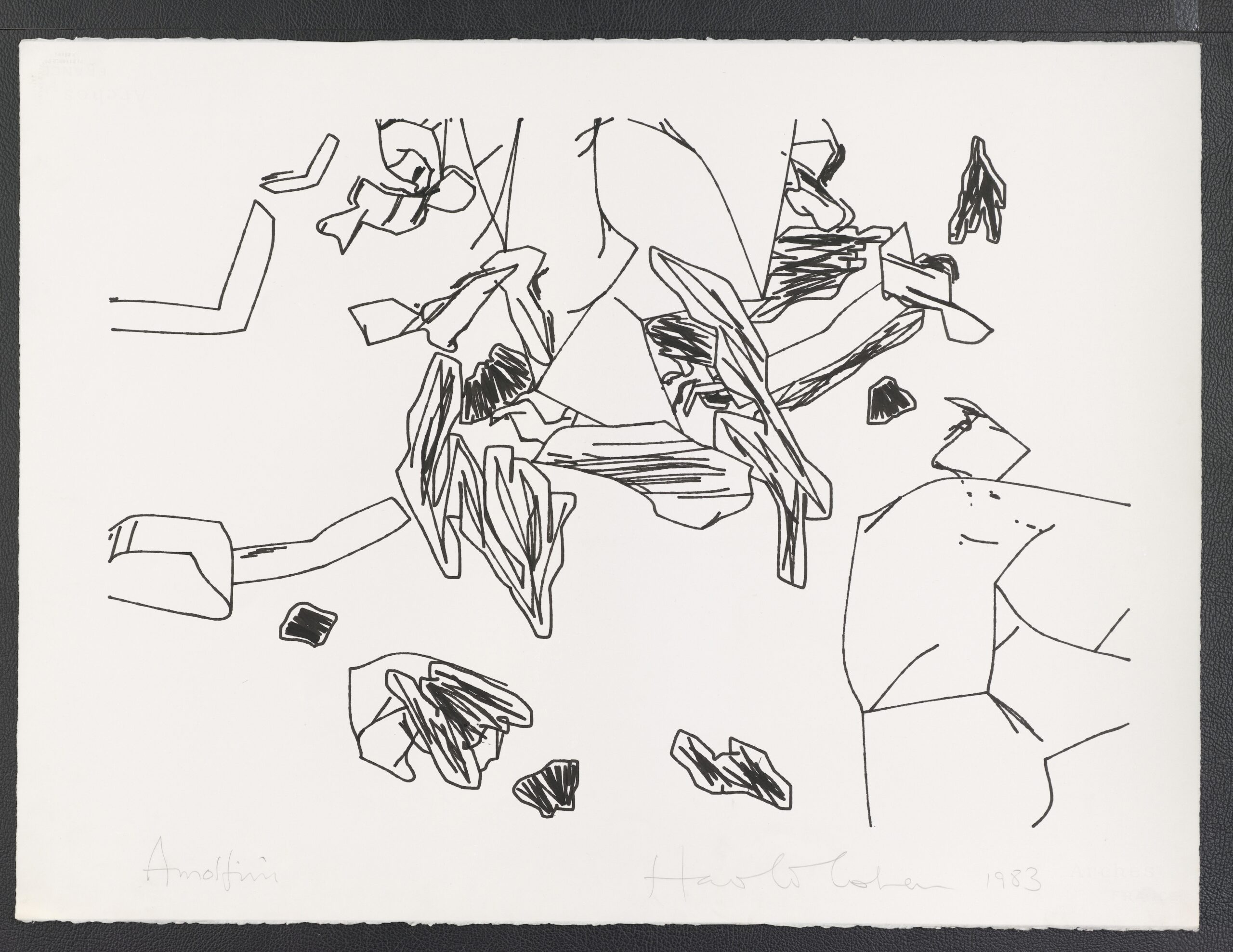 Cohen1983_OhneTitel_Plotter Kopie